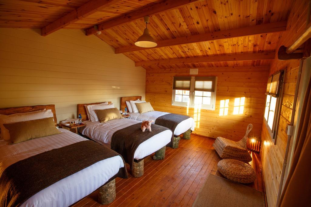 Giltraps Townhouse & Glamping Hotel Kinnitty Room photo